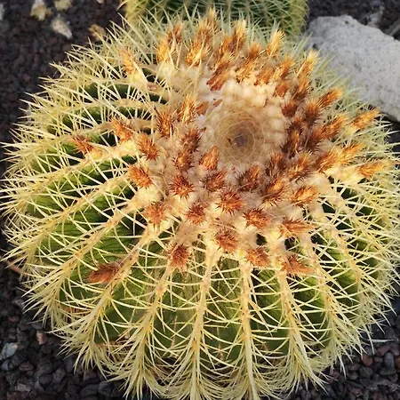 Wonderful Sea Views By Vapago Tenerife